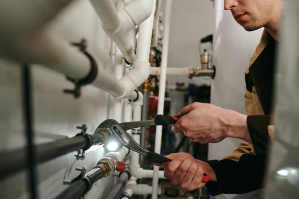 Best Commercial Plumbing Services  in Sebewaing, MI
