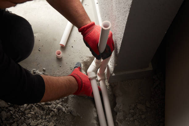 Best Local Plumber Services  in Sebewaing, MI