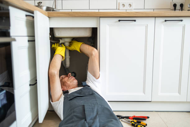  Sebewaing, MI Plumbing Pros