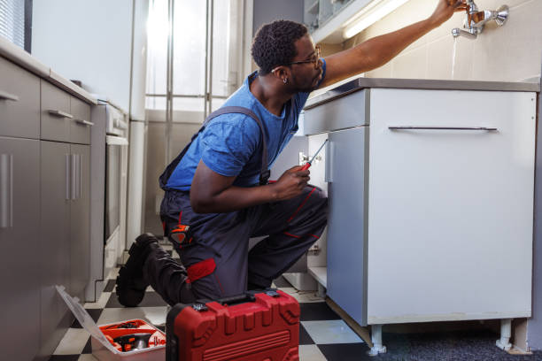 Best Toilet Repair Services  in Sebewaing, MI